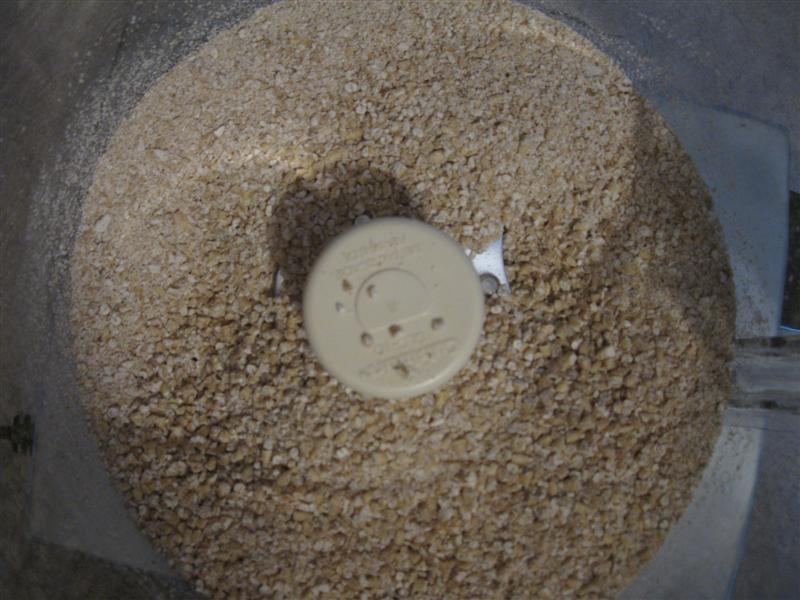 Process the Steel-Cut Oats for ~30 seconds