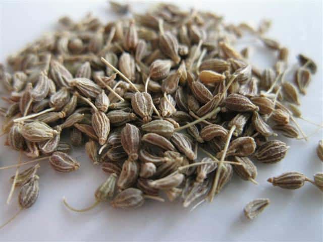Whole Anise Seeds