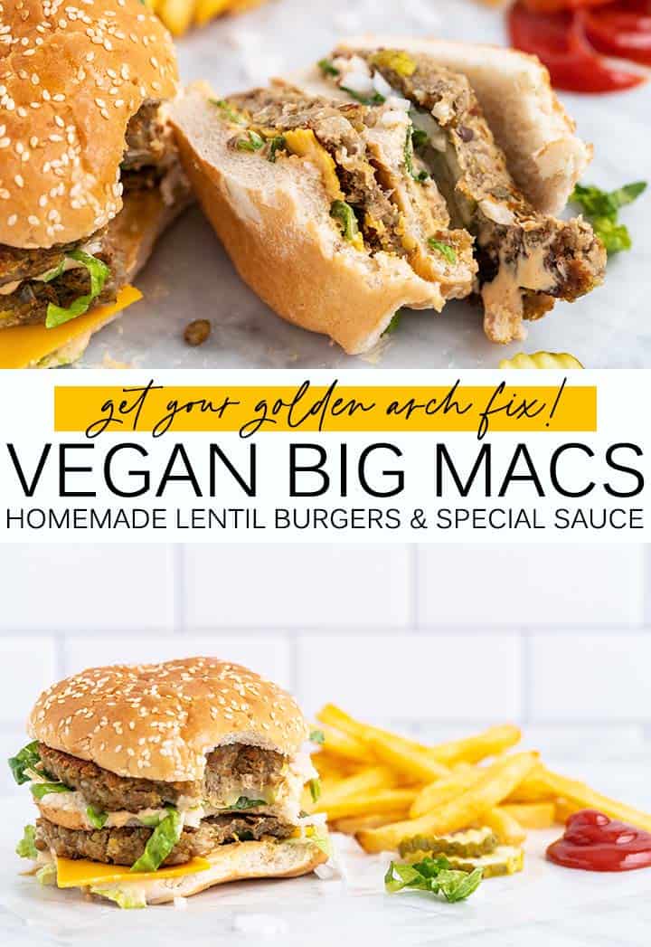vegan big macs pin