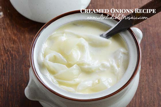 Close Up Top View of Creamed Onions Recipe in White Bowl on Wooden Table