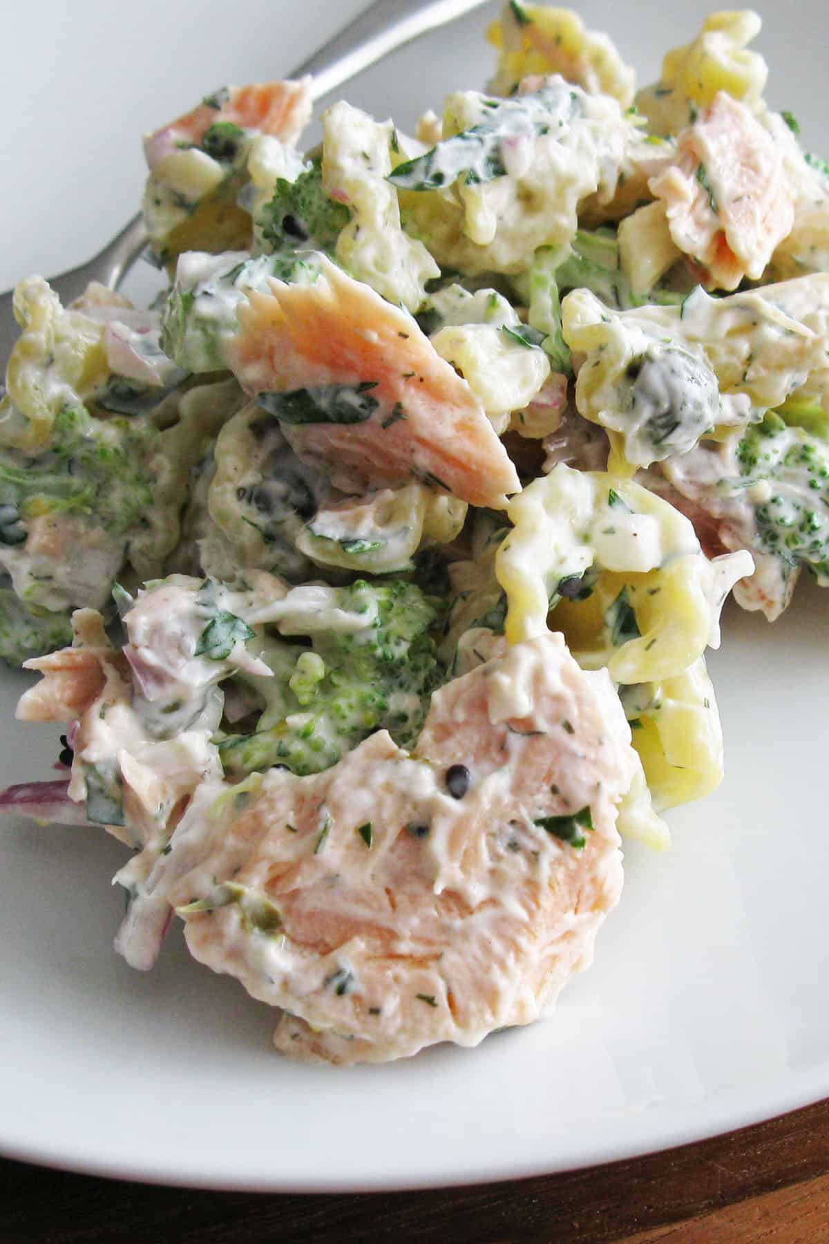 close of large salmon flake in creamy pasta salad on white plate