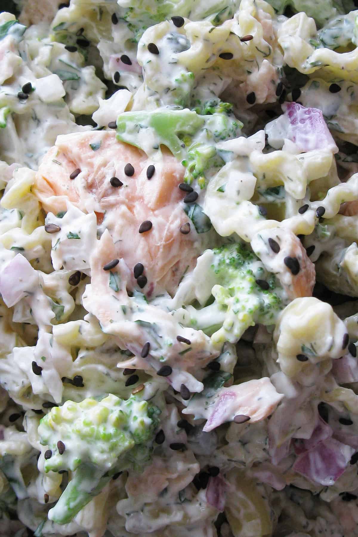 close up top view of creamy pasta salad with salmon
