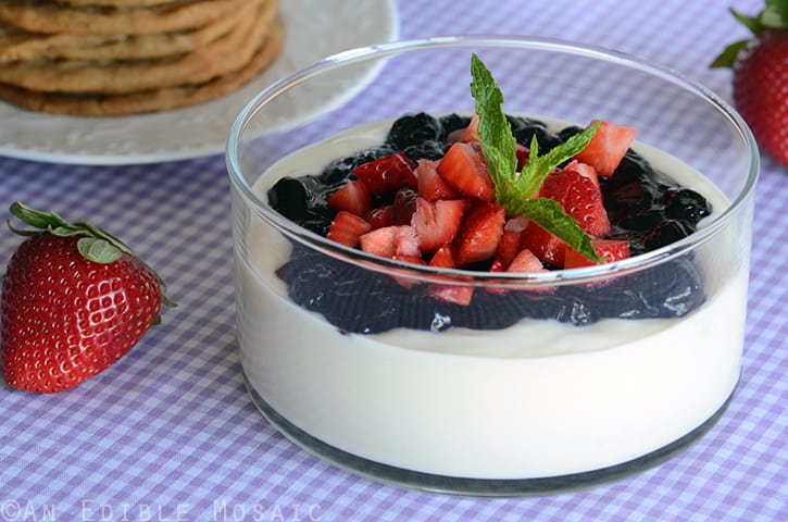 Blueberry Cheesecake Dip with Thin and Chewy Graham Cracker Crumb Cookies 2