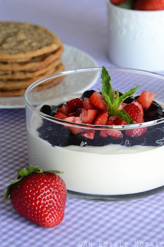 Blueberry Cheesecake Dip with Thin and Chewy Graham Cracker Crumb Cookies