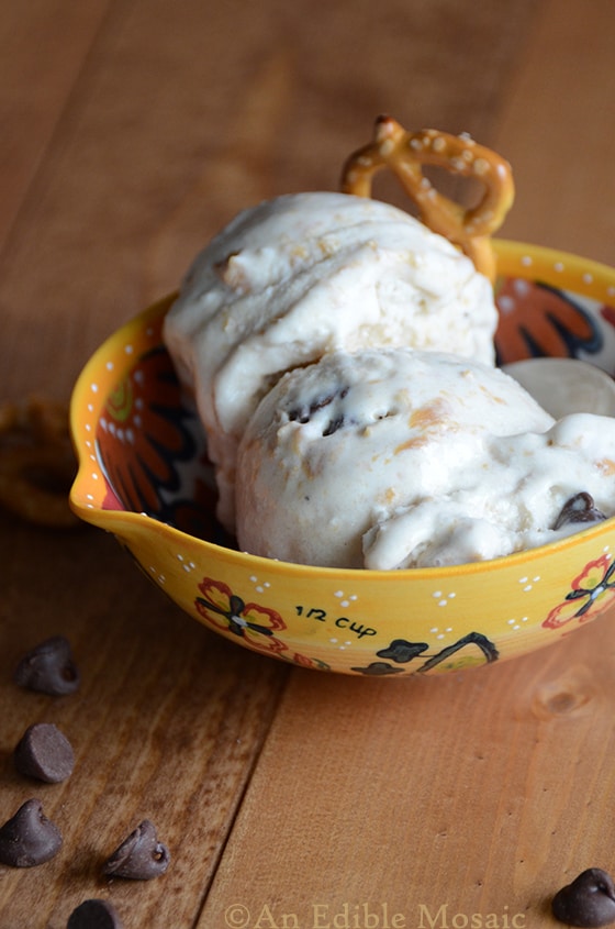 Chocolate Peanut Butter Pretzel Fro-Yo