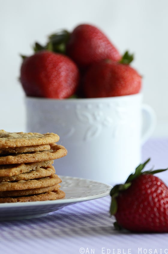 Thin and Chewy Graham Cracker Crumb Cookies