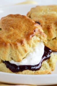 cropped-close-up-front-view-of-cherry-scone-with-cream-and-jam-filling.jpg
