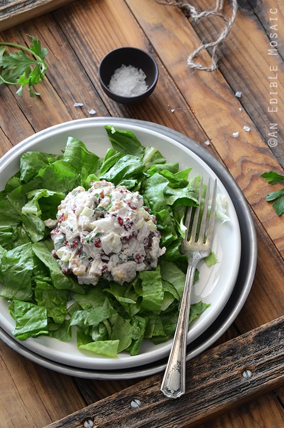 Cranberry Walnut Chicken Salad with Vintage Fork on White Plate