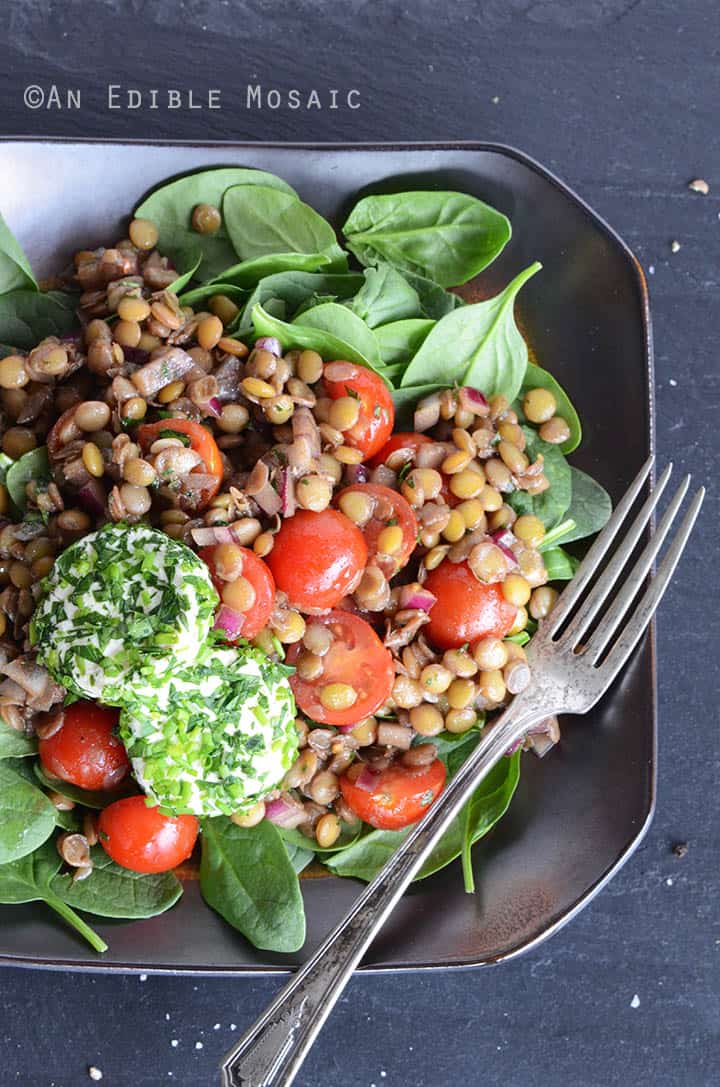 Lentil Salad with Herbed Goat Cheese and Balsamic Vinaigrette 1