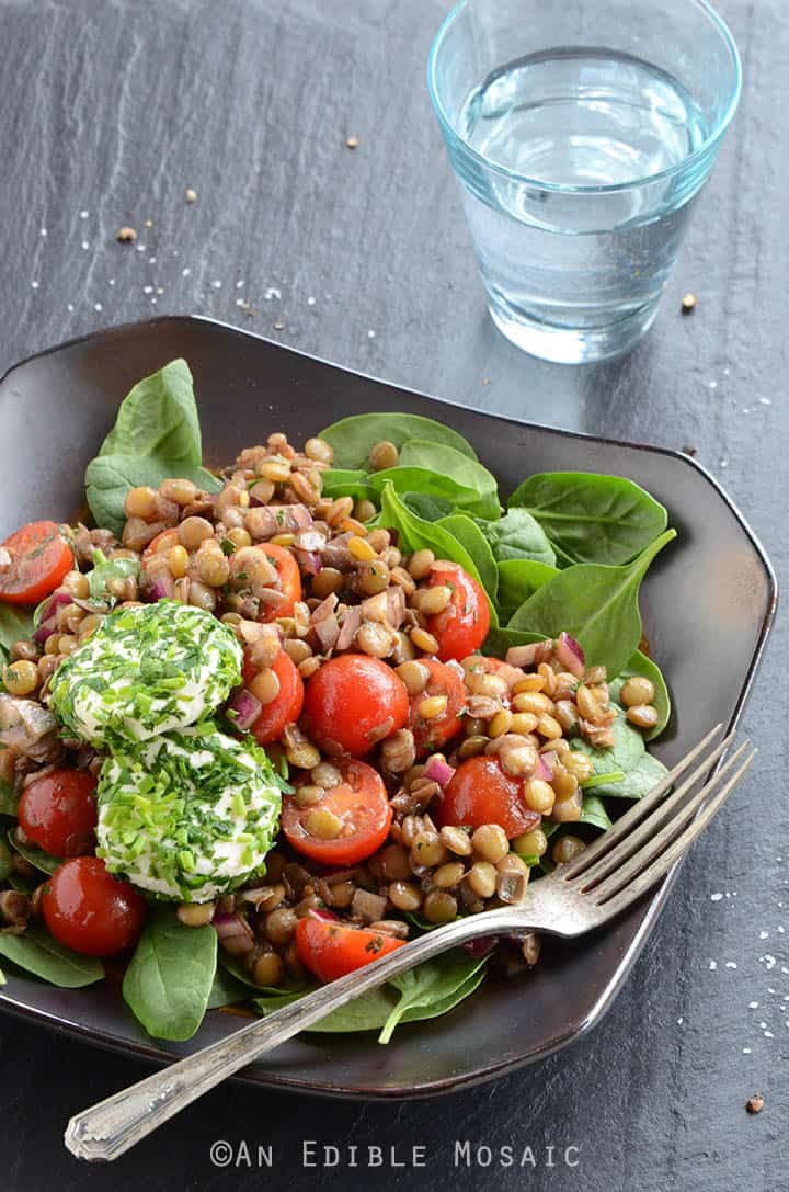 Lentil Salad with Herbed Goat Cheese and Balsamic Vinaigrette 2