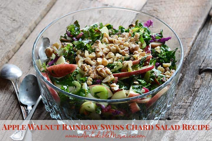 Apple Walnut Rainbow Swiss Chard Salad Recipe with Description