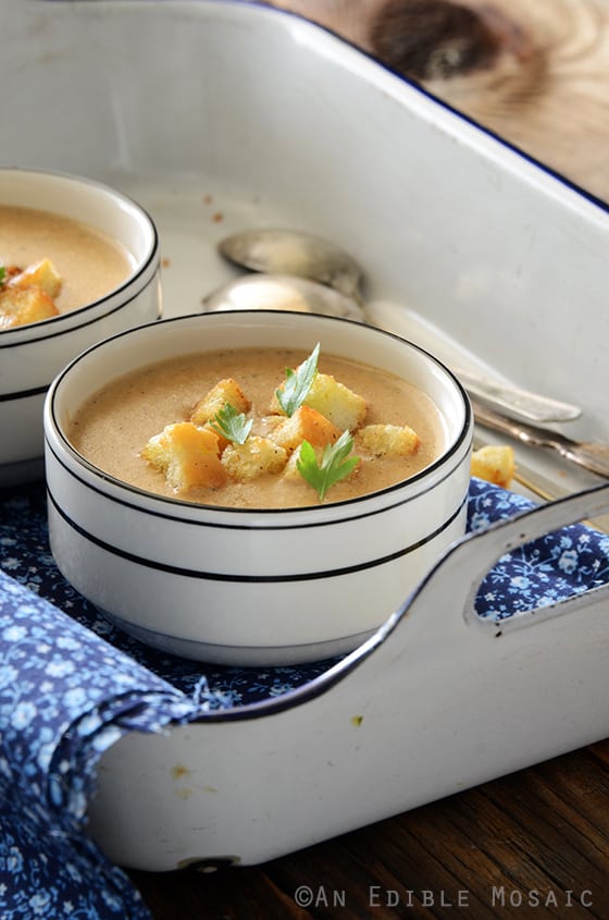 Cream of Caramelized Onion and Cheese Chowder
