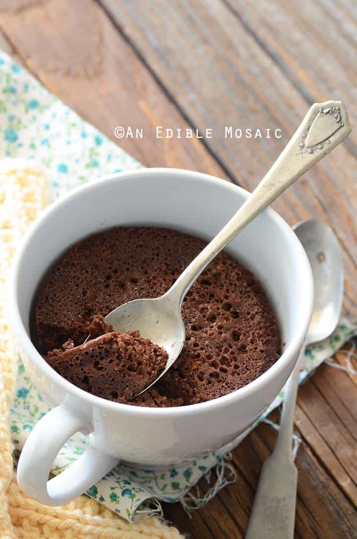 Close Up of Healthy Chocolate Mug Cake Showing Texture