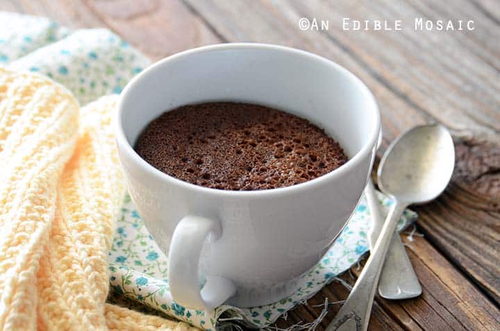 Front View Horizontal Orientation of Healthy Chocolate Mug Cake Recipe