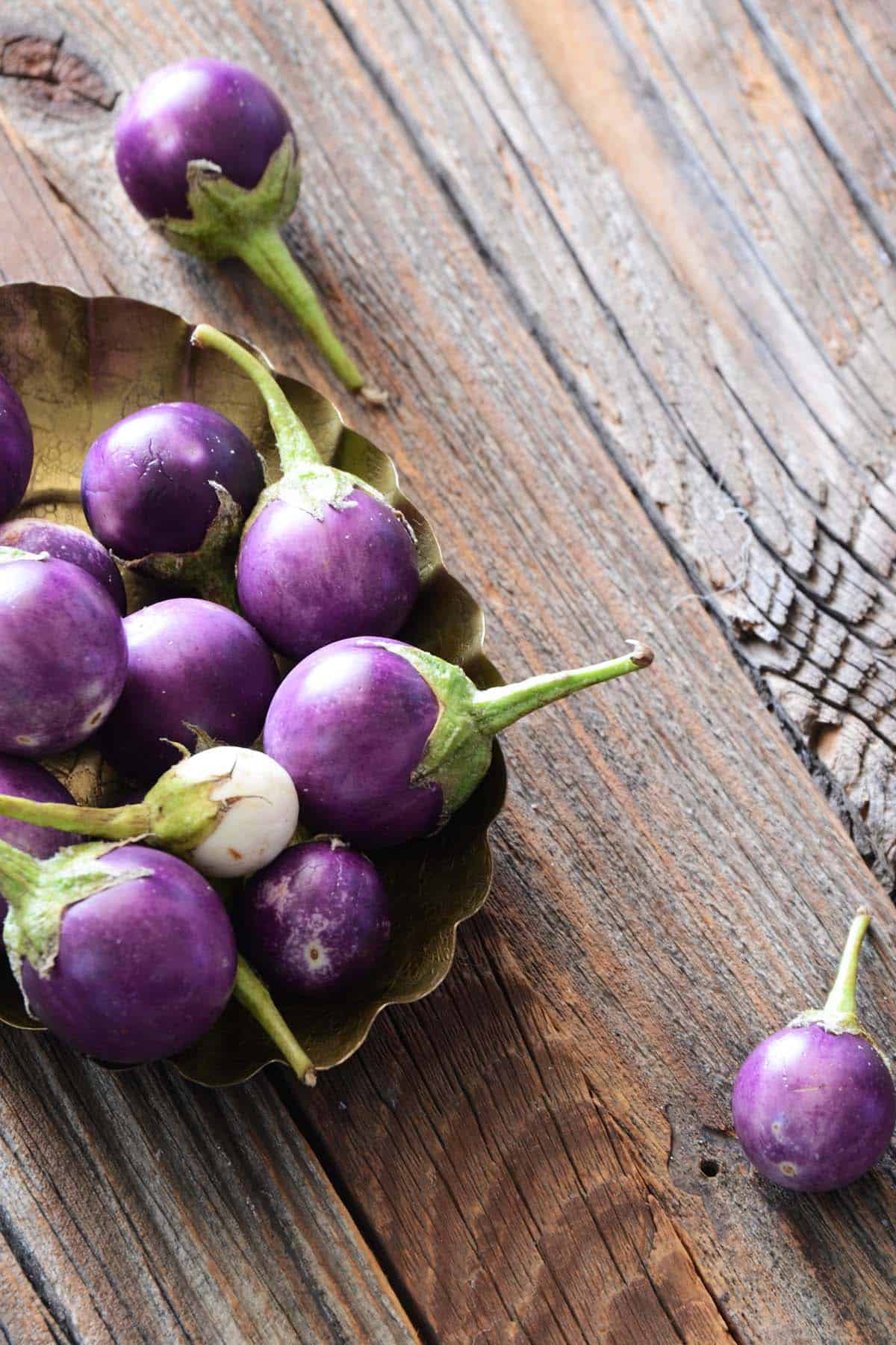 purple baby eggplant