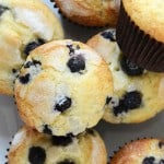 Classic Blueberry Muffins Overhead View on White Plate