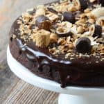 Chocolate Hazelnut Cake Recipe on White Cake Stand