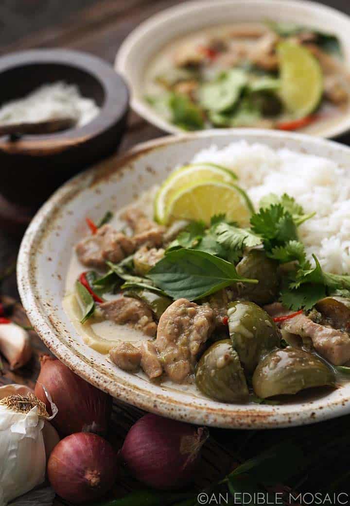green curry with rice in serving bowl