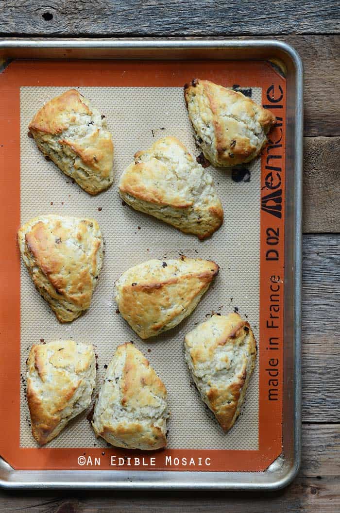 Scones on Baking Tray