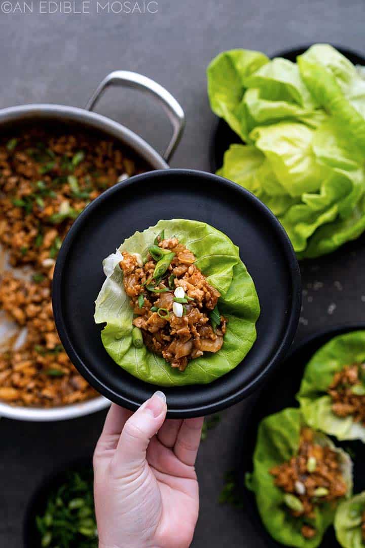 hand holding plate with chicken lettuce wrap