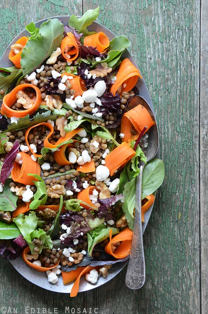 French Lentil, Carrot Curl, and Moroccan Mint Sauce Salad