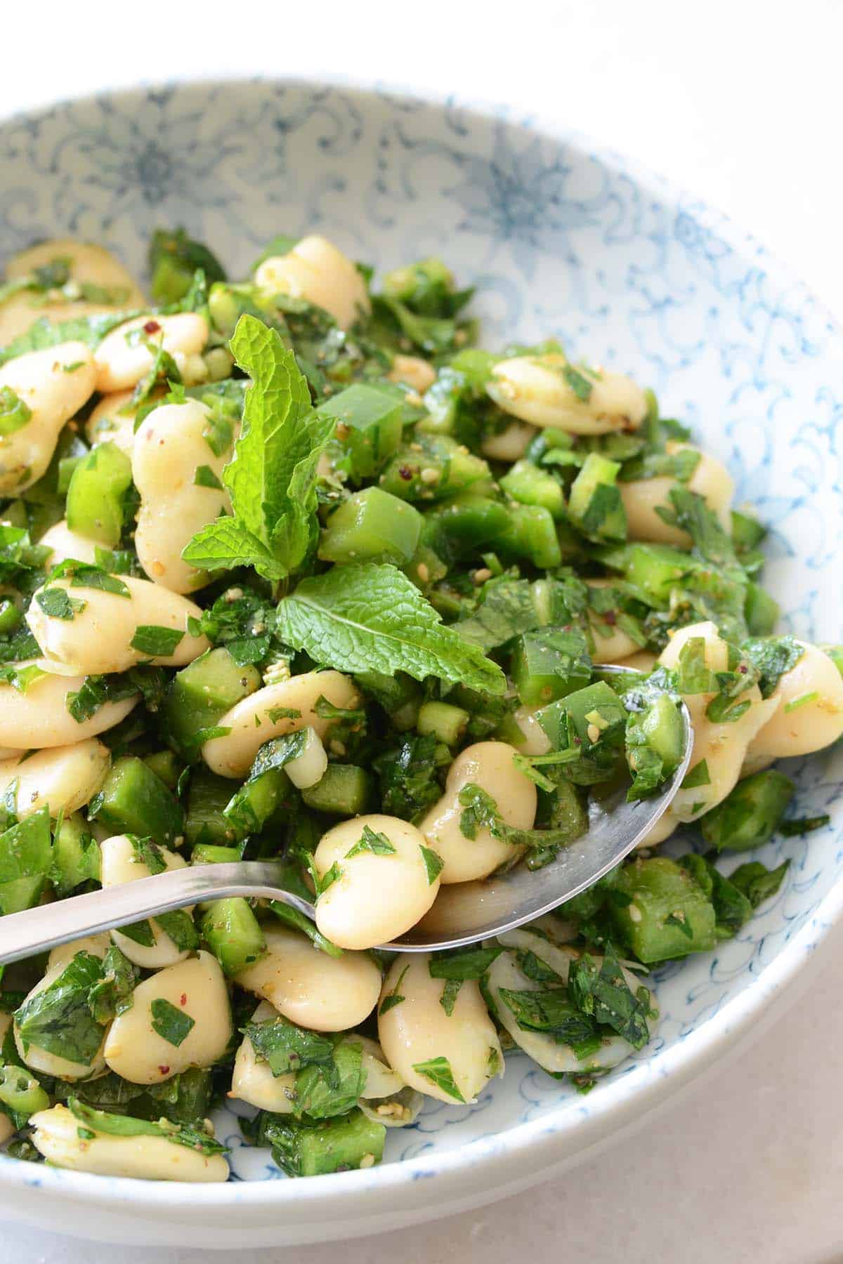 close up of butter bean salad with za'atar in serving bowl