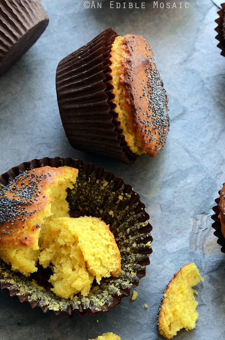 Mango Lassi Poppy Seed Muffins 2