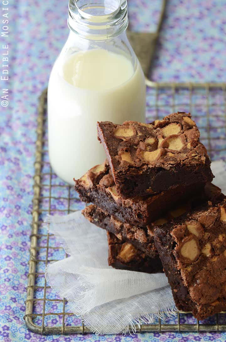 Malted Chocolate Brownies 1