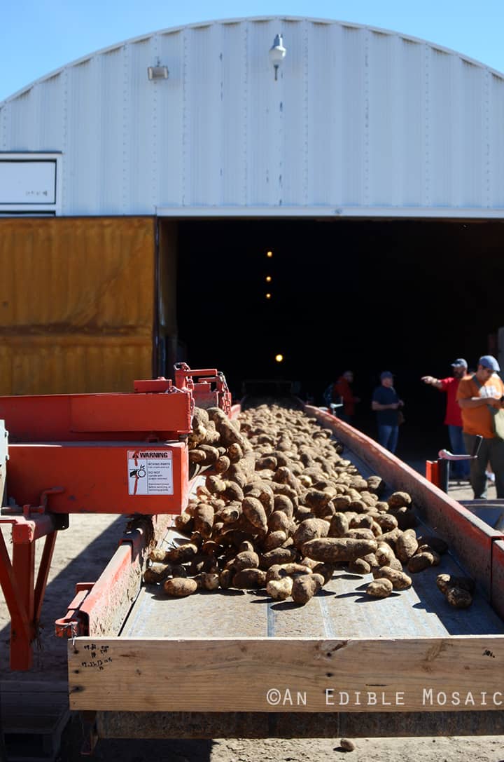 Idaho Potato Tour 5