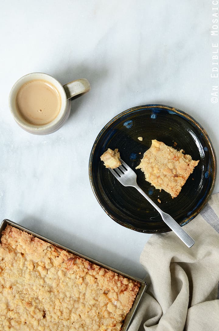 Streusel-Topped Apple Cinnamon Custard Cake 1