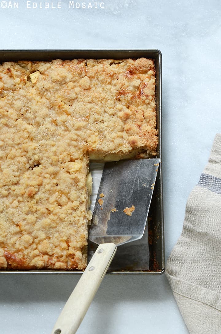 Streusel-Topped Apple Cinnamon Custard Cake 3