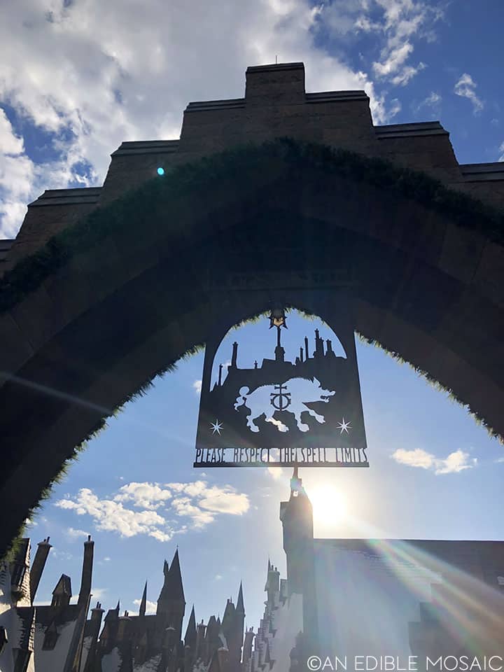 walking into hogsmeade