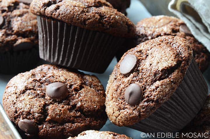 easy chocolate muffins