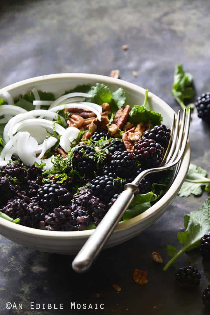 Vegan Herbed Black Rice, Black Lentils, and Black Quinoa Pilaf Salad Bowls with Blackberries on Weathered Metal Background Front View