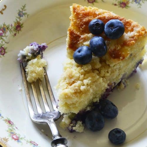 Close Up of Blueberry Coffee Cake Recipe on Flowered Dish with Vintage Fork