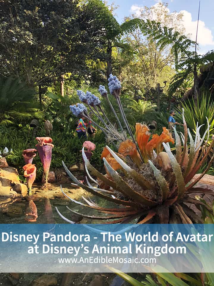 Disney Pandora at Disney Animal Kingdom