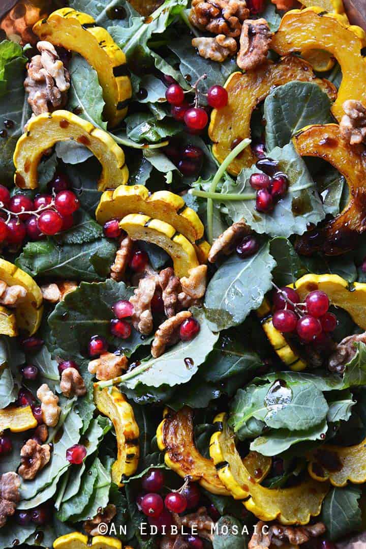 Close Up of Roasted Winter Squash Salad with Spiced Walnuts, Red Currants, and Pomegranate Balsamic Vinaigrette