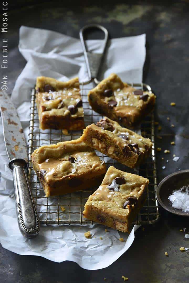 Salted Peanut Butter and Chocolate Snickers Brown Butter Blondies Front View Vertical Orientation