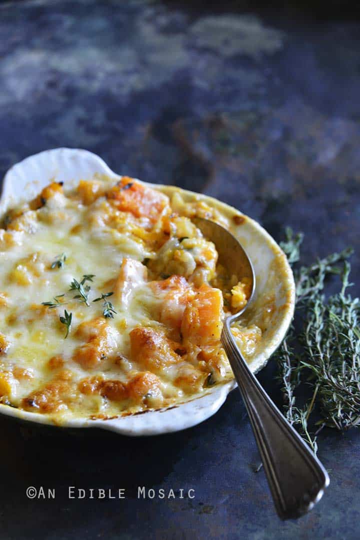 Cheddar and Thyme Butternut Squash Gratin Side View