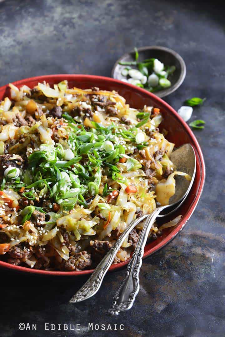 Low-Carb Crack Slaw (aka Egg Roll in a Bowl) Front View