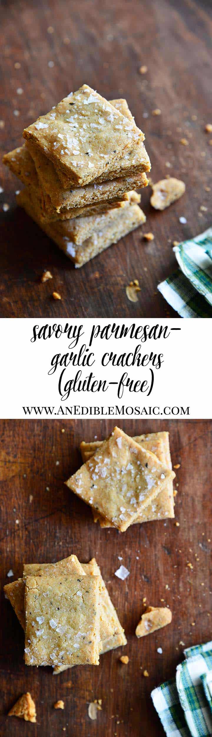 Gluten Free Savory Parmesan-Garlic Crackers Long Pin