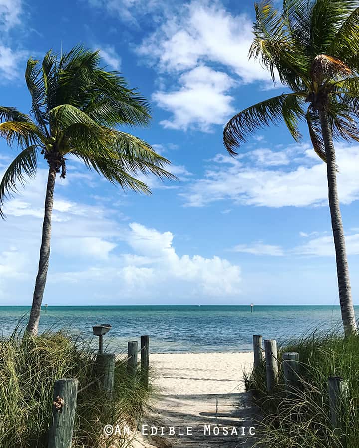 Higgs Beach in Key West