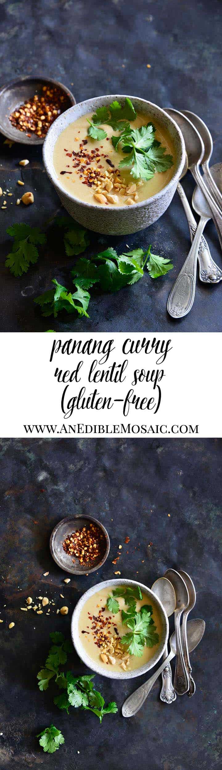 Panang Curry Red Lentil Soup Long Pin