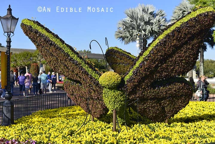 Butterfly Topiary at Epcot