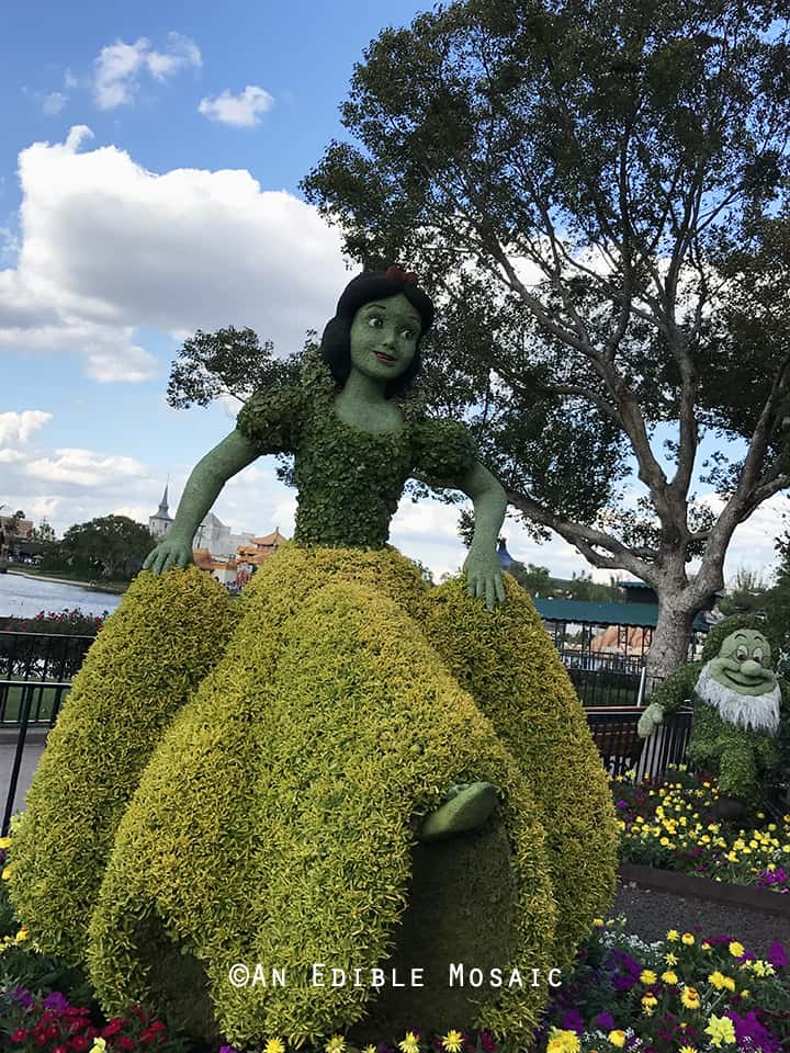 Snow White Topiary