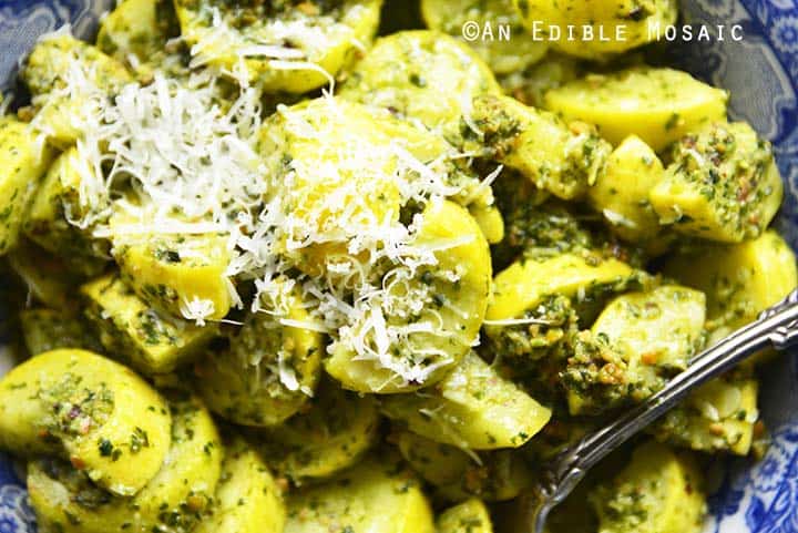 Close Up Overhead View of Summer Squash Saute