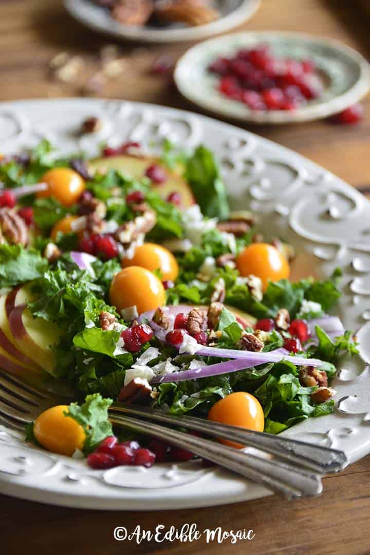 Close Up Front View of Festive Christmas Salad Recipe on Wooden Table