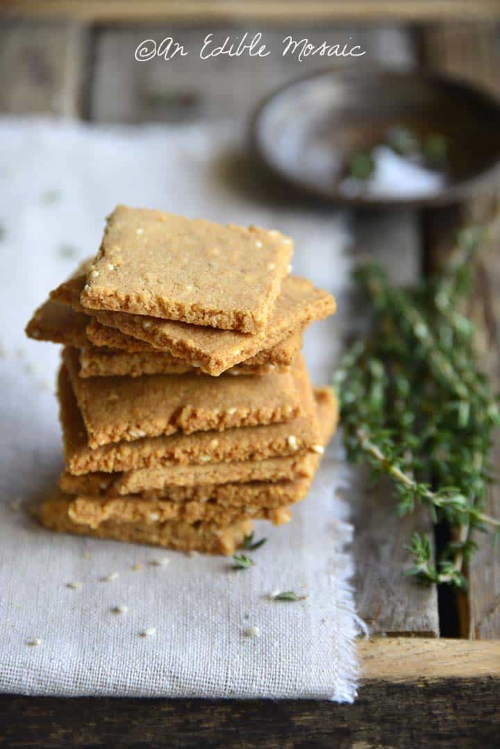 Close Up Stack of Low Carb Butter Crackers