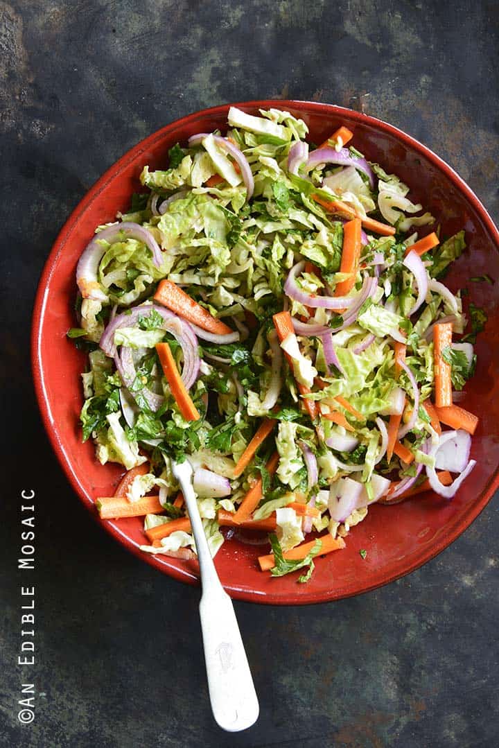 Quick Pickled Slaw in Red Bowl on Metal Tray