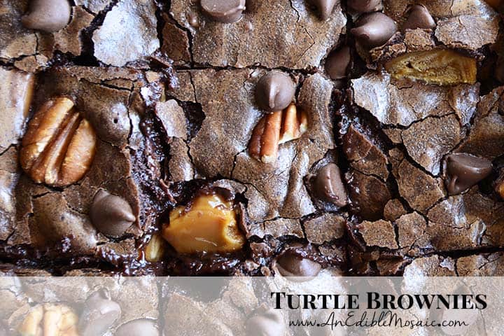 Turtle Brownies Recipe with Description